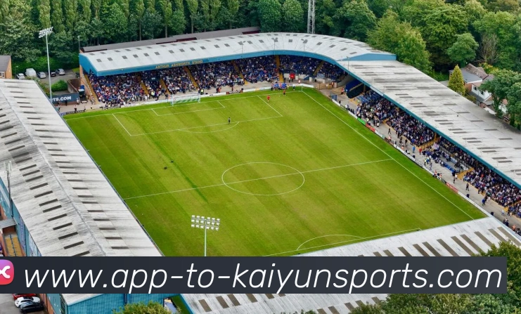 开云appAPP 封面图